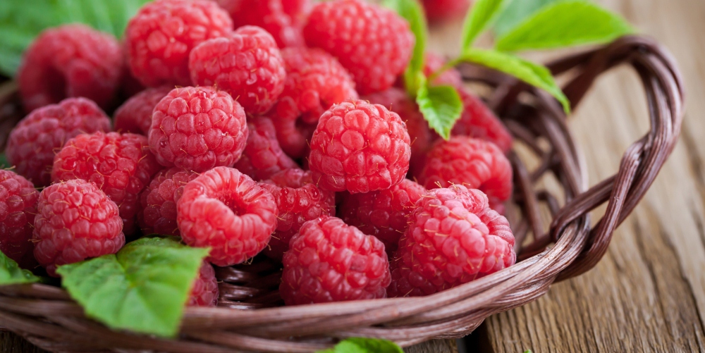 Organic Food is Better for you